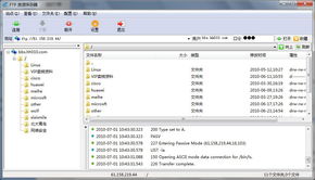 如何使用迅雷下载FTP服务器上的软件——实用技巧与服务详解